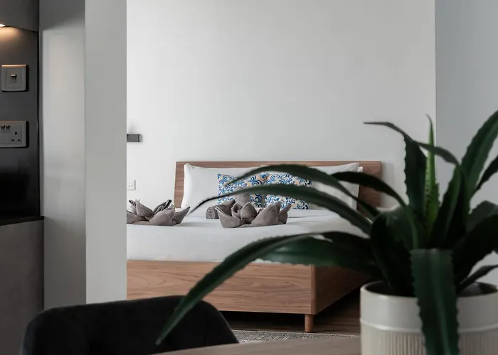 Collection - Felix Apartamento